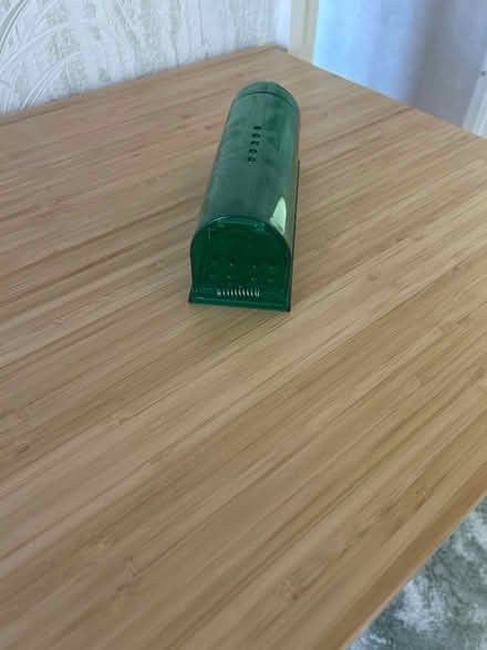 Photo of free Humane mouse catcher (Torrisholme LA4) #2