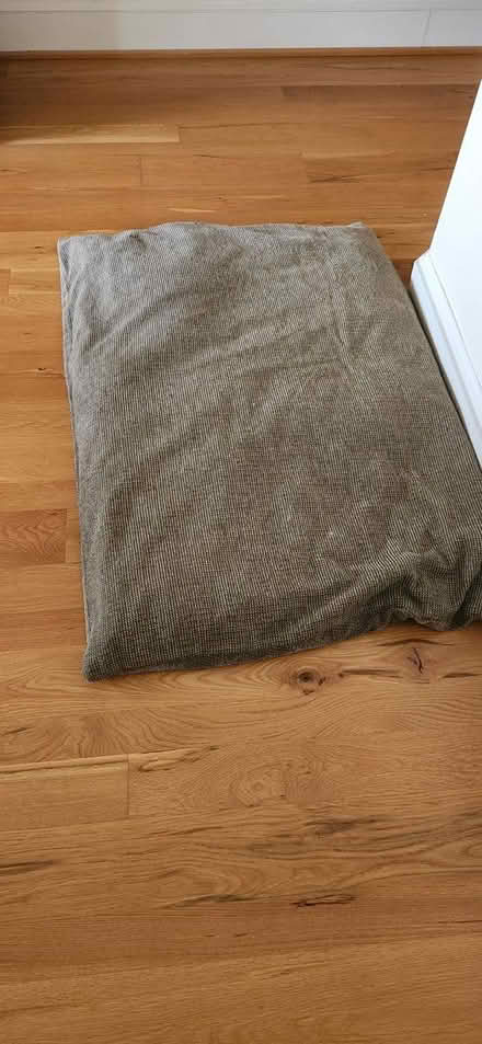 Photo of free Large dog bed (Cap Hill 20002) #1