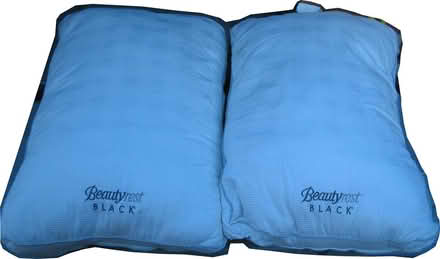 Photo of free Two (2) Beautyrest Black pillows (castro valley) #1