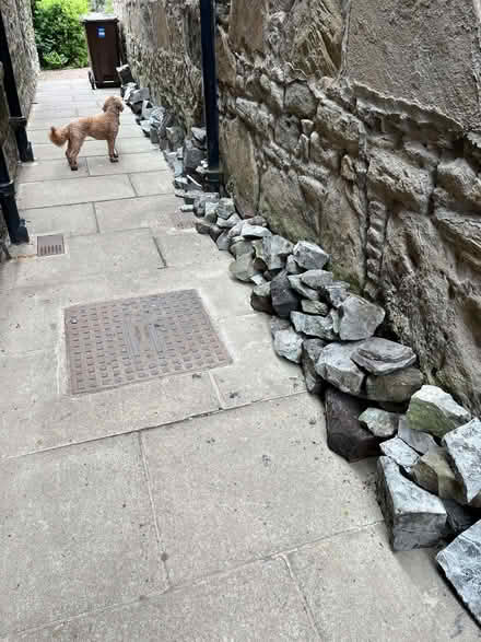 Photo of free rocks / stones for garden (Stockbridge EH3) #3