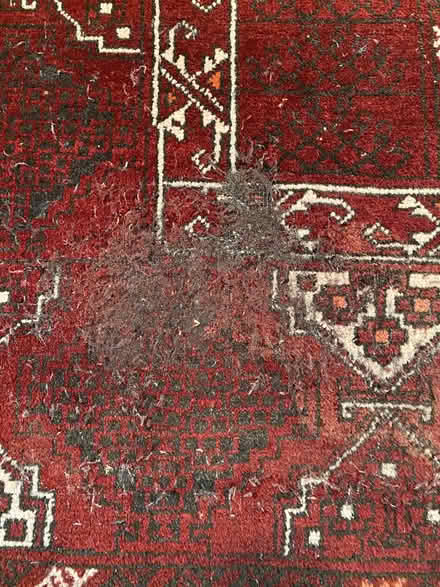 Photo of free Deep red oriental rug (Nr Fresh Pond & Mt Auburn Cem.) #2