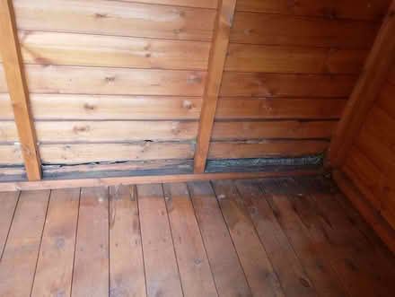 Photo of free garden shed (Loughborough LE11) #2