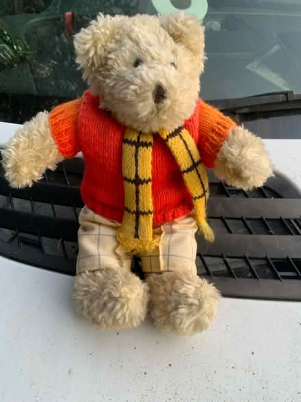 Photo of free Bear (AL2 / SG6) #1