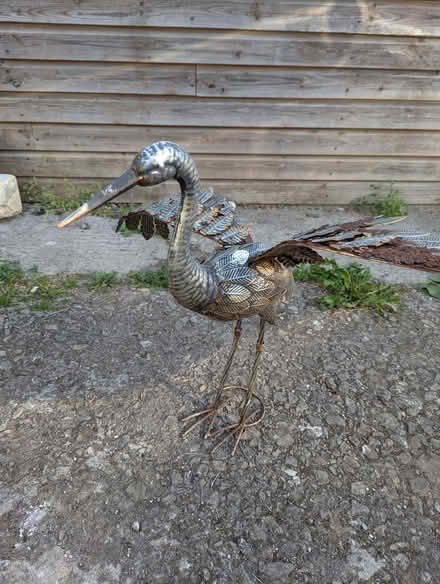 Photo of free Ornamental Bird (Dunkerton BA2) #1