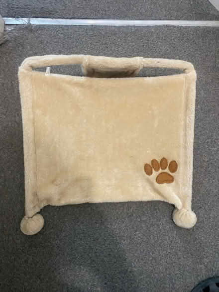 Photo of free Cat Hammock (ME5 Chatham) #2