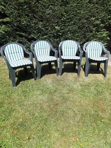 Photo of free Plastic garden chairs (Blackwell) #1