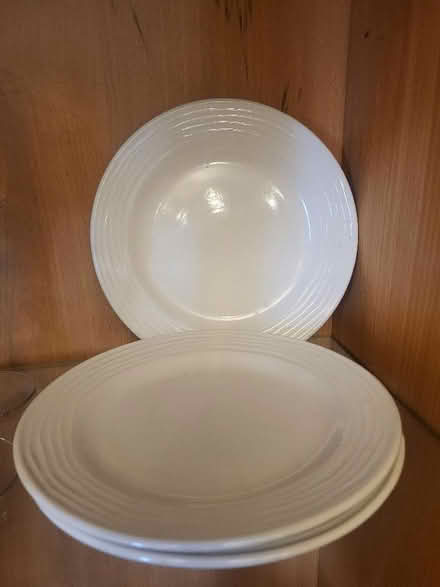 Photo of free To go together looking for good home (West Drayton UB7) #1
