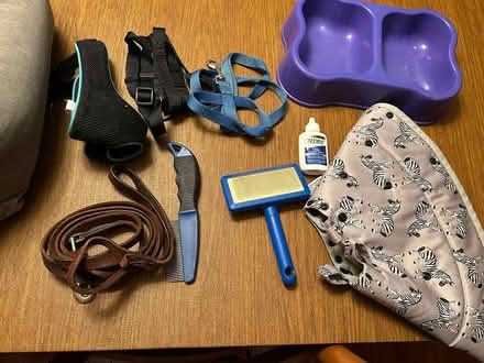Photo of free Miscellaneous dog items (Rutledge, Delaware County) #1