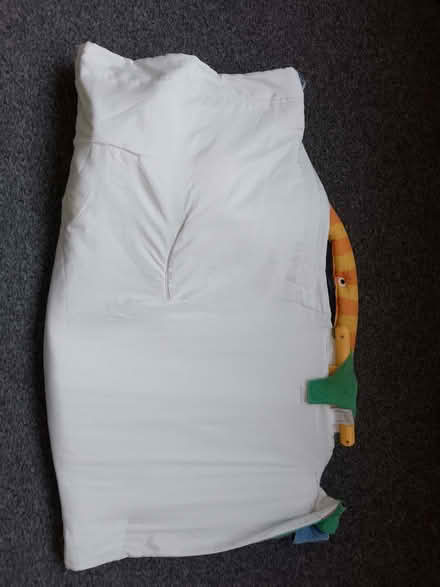Photo of free Animal-themed baby activity mat (West Haddon NN6) #2
