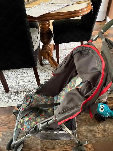Photo of free umbrella stroller (New Hudson) #1