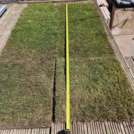 Photo of free Turf (Moresby Parks CA28) #2
