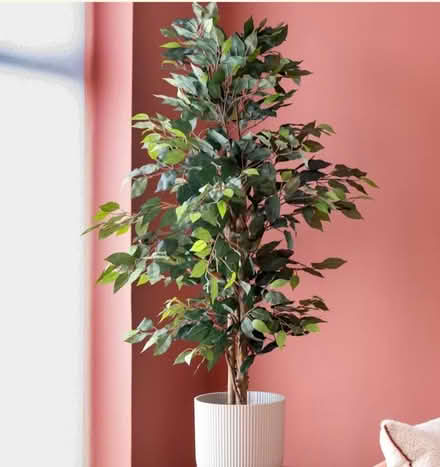 Photo of Artificial plants (Woodside CR0) #1