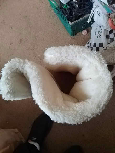 Photo of free Cat bed (Yalding ME18) #1