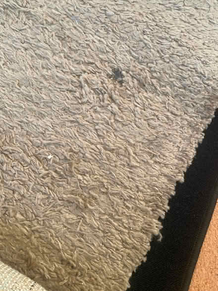 Photo of free Large rug (Bucknell, Shropshire) #2