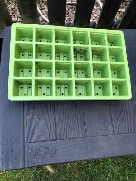 Photo of free Seedling trays (Fallside G71) #1