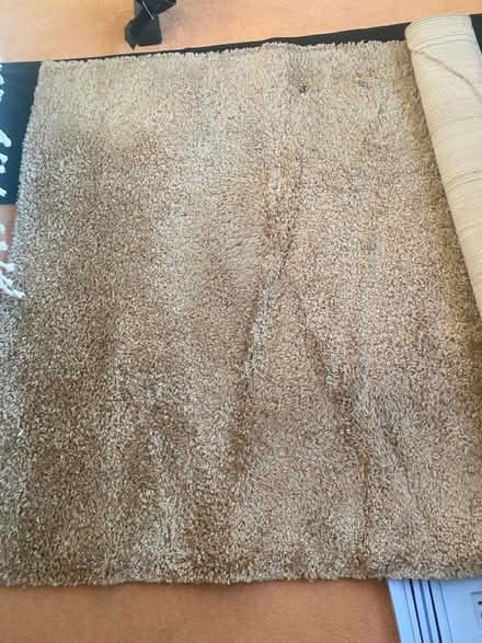Photo of free Large rug (Bucknell, Shropshire) #3