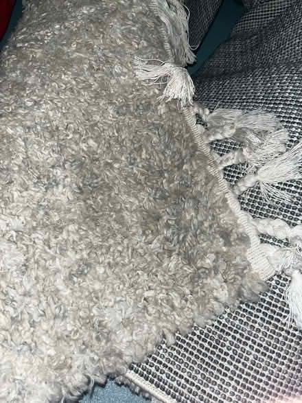 Photo of free Grey shag rug (Upper Roxborough) #1