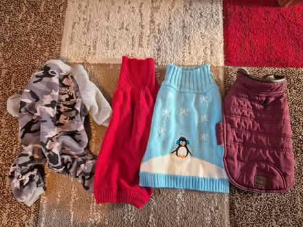 Photo of free Dog coats/jumpers (WR3) #1