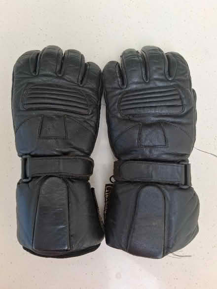 Photo of free Motorcycle Gloves - Medium (Purbrook PO7) #1