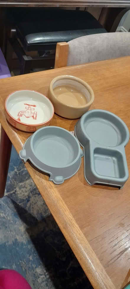 Photo of free 4 cat bowls (Whitegrove RG42) #1