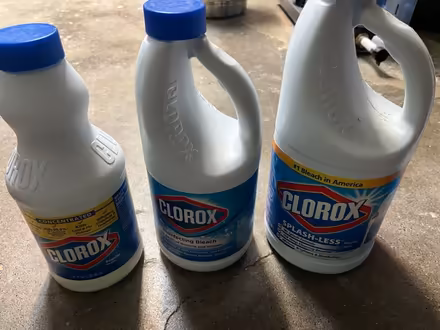 Photo of free Clorox bleach cleaning supplies (Montlake) #1
