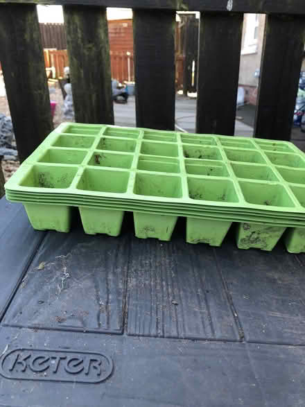 Photo of free Seedling trays (Fallside G71) #2