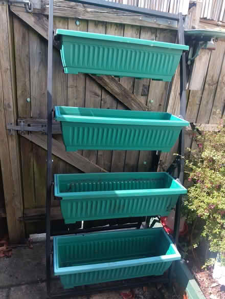 Photo of free Four tier planter (Higher Brixham TQ5) #2