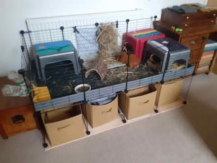 Photo of free large floor standing guinea pig cage (Woodhouse S13) #1