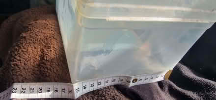 Photo of free Plastic CD container (Eton SL4) #2
