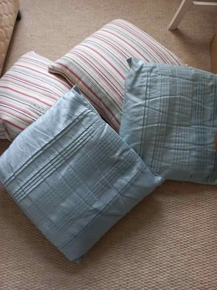 Photo of free Scatter cushions (Lower Tadmarton OX15) #1