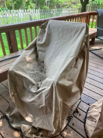 Photo of free Almost new outdoor chair covers (Farmington Hills, 13 & Orchard) #3
