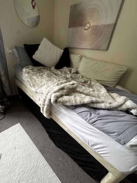 Photo of free Single bed with pull out bed (Potter Street CM17) #1