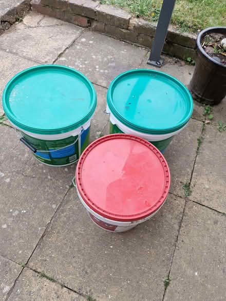 Photo of free Three empty buckets, clean. (Great Baddow CM2) #1