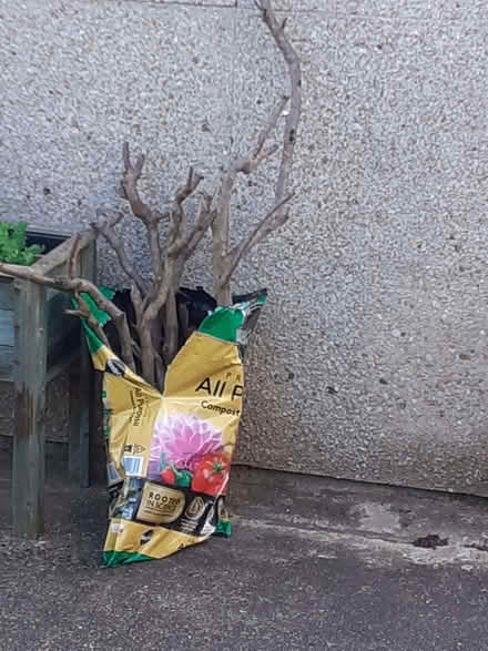 Photo of free Bag of Branches (Hellesdon NR6) #1