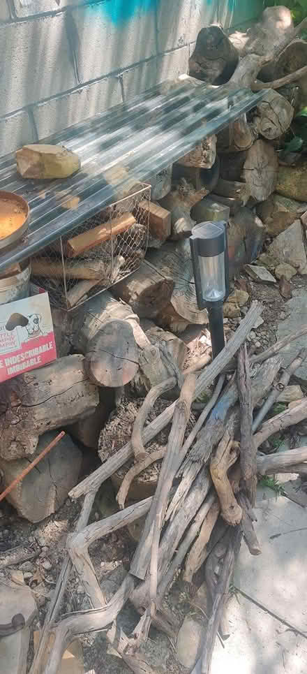 Photo of free firewood (90065) #2