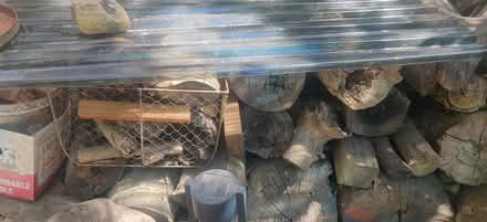 Photo of free firewood (90065) #1