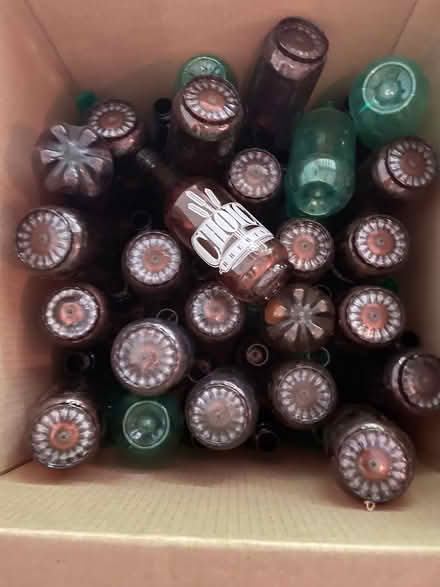 Photo of free Beer making plastic bottles (Kanata South) #1
