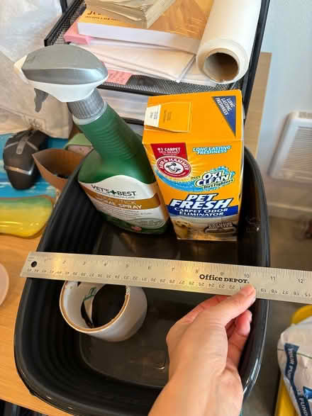 Photo of free New kitten/small cat kit (Ballard) #4