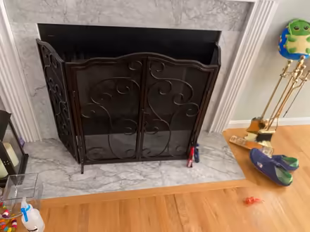 Photo of free Folding fireplace screen (Pawtucketville) #1