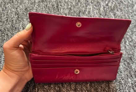 Photo of free Paul Costelloe Purse (RG1) #3