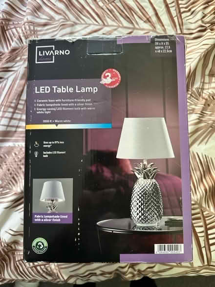 Photo of free Silver Pineapple Lamp (So19 9ah) #1