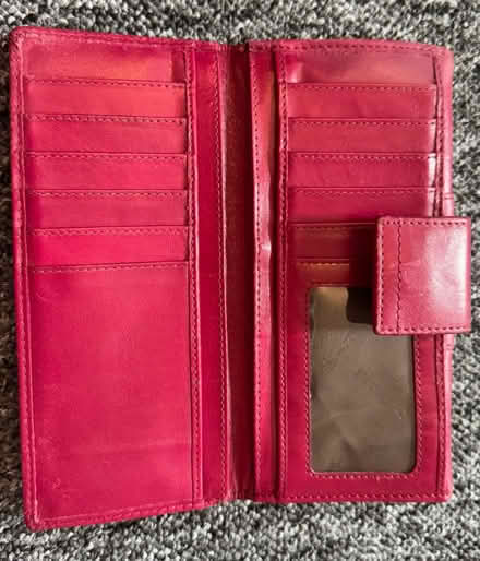 Photo of free Paul Costelloe Purse (RG1) #2