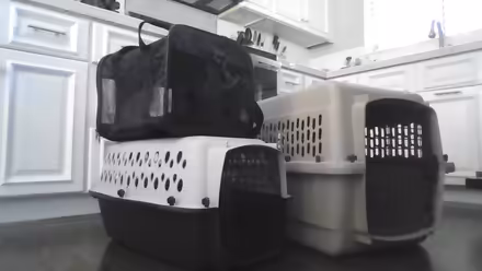 Photo of free Pet Carriers (River Oaks Ln Orangevale) #1