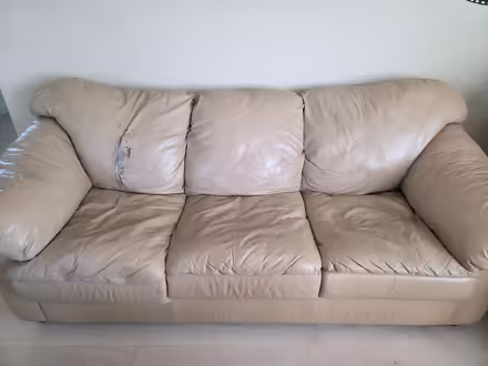 Photo of free Pull-out couch (San Ramon) #1