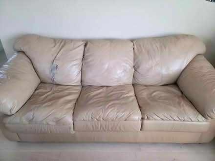 Photo of free Sofa cum bed (San Ramon) #1