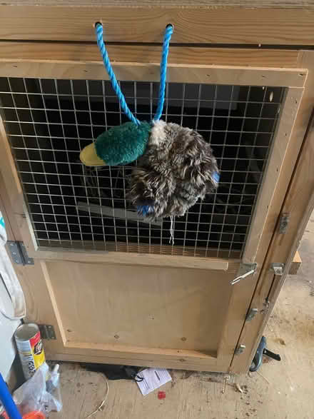 Photo of free Large Dog Crate (Old Town Alexandria) #3