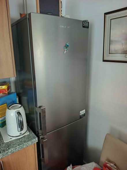 Photo of free Geladig fridge freezer (TQ12) #1