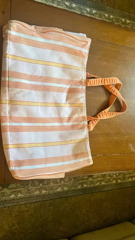 Photo of free Large Beach Bag (NE Glenview (Lake & Harms)) #1