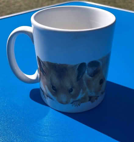 Photo of free “I love Hamsters” Mug (Monks Hill CR2) #2