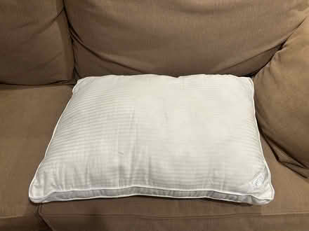 Photo of free Pillow (Ballard) #1